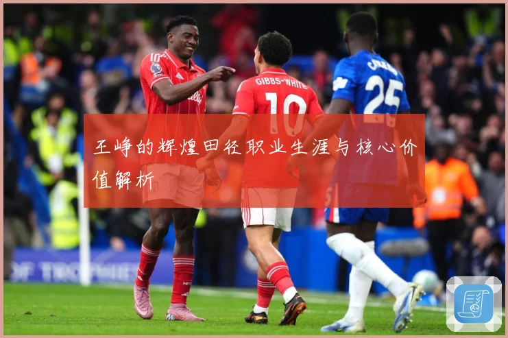 王峥的辉煌田径职业生涯与核心价值解析