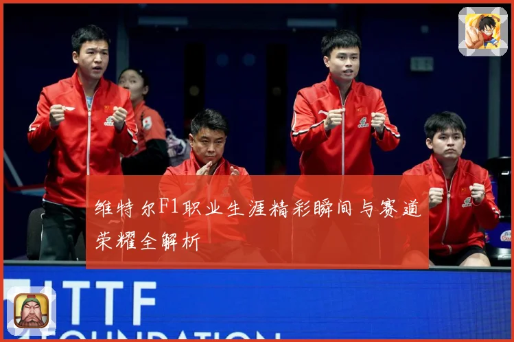 维特尔F1职业生涯精彩瞬间与赛道荣耀全解析