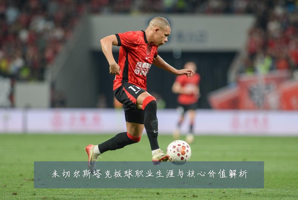 米切尔斯塔克板球职业生涯与核心价值解析