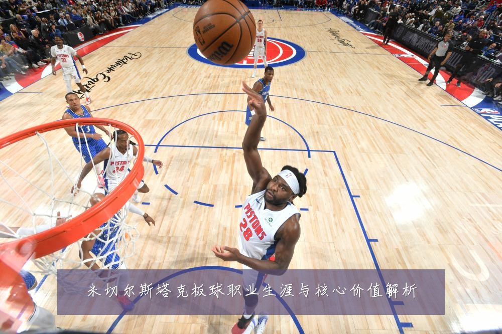 米切尔斯塔克板球职业生涯与核心价值解析